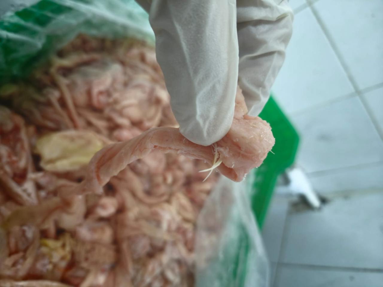 Bu müəssisə tüklü toyuqlardan KOLBASA hazırlayırmış