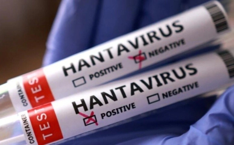 Hantavirus QAYITDI: Bu ölkədə ÖLƏNLƏR VAR