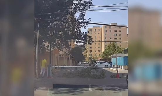 Güclü külək ağacı sındırdı: Qadın altında QALDI