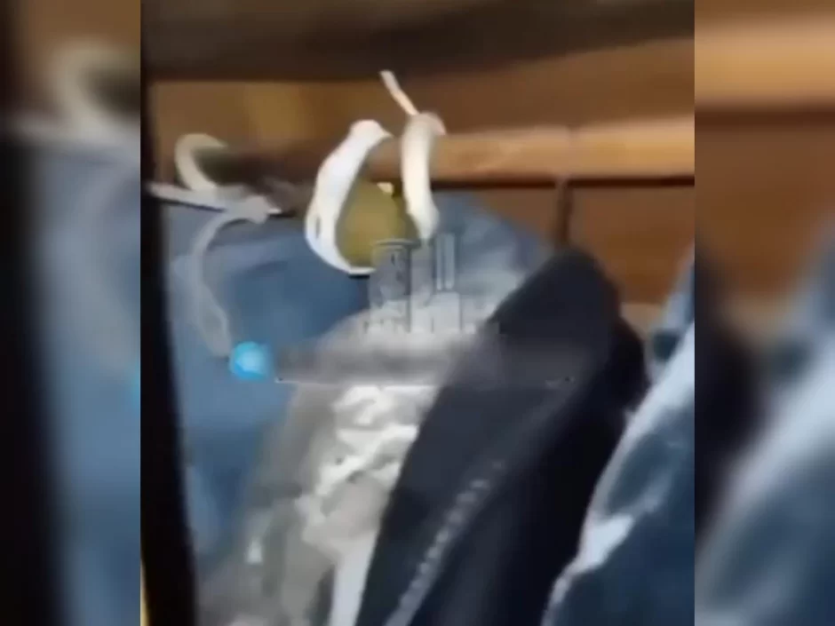 Ermənilər geyim dolabına qumbara tələsi yerləşdirdi - GÖRÜNTÜLƏR