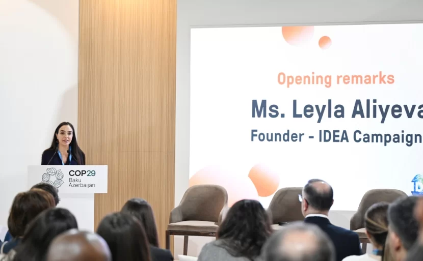 IDEA və “Clean Air Fund” tərəfindən panel müzakirələri təşkil olunub