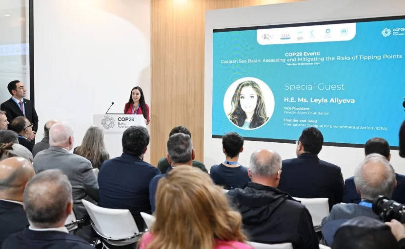 Leyla Əliyeva dəyirmi masa müzakirələrində iştirak edib