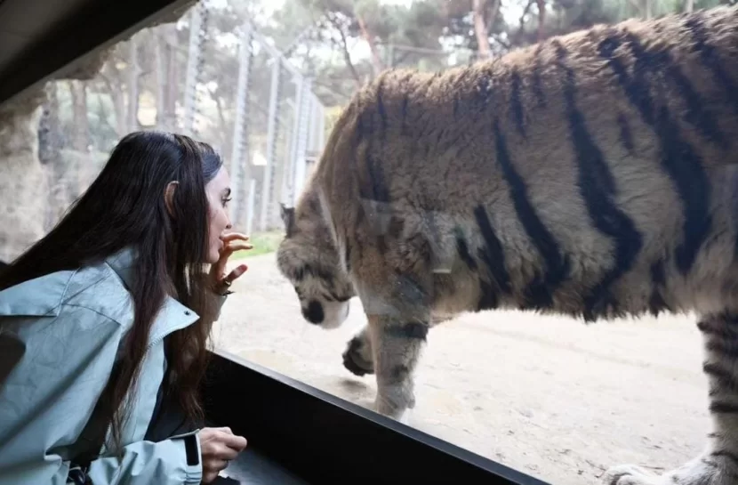 Leyla Əliyeva Bakı zooparkında