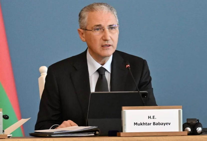 \"Ümumi məşğulluğun 46 faizi kənd təsərrüfatı sahəsindədir\" - Muxtar Babayev