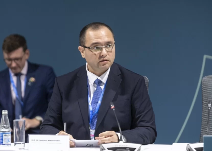 Nazir Məcnun Məmmədov COP29-da panel müzakirələrdə iştirak etdi - FOTOLAR