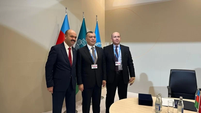 Türkiyəli nazir COP29-da