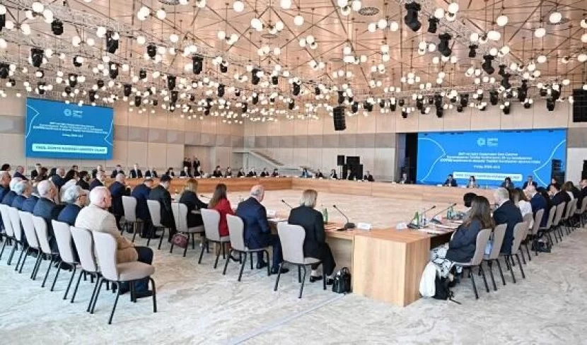 COP29 Paris Sazişinin iki maddəsini qəbul etdi 