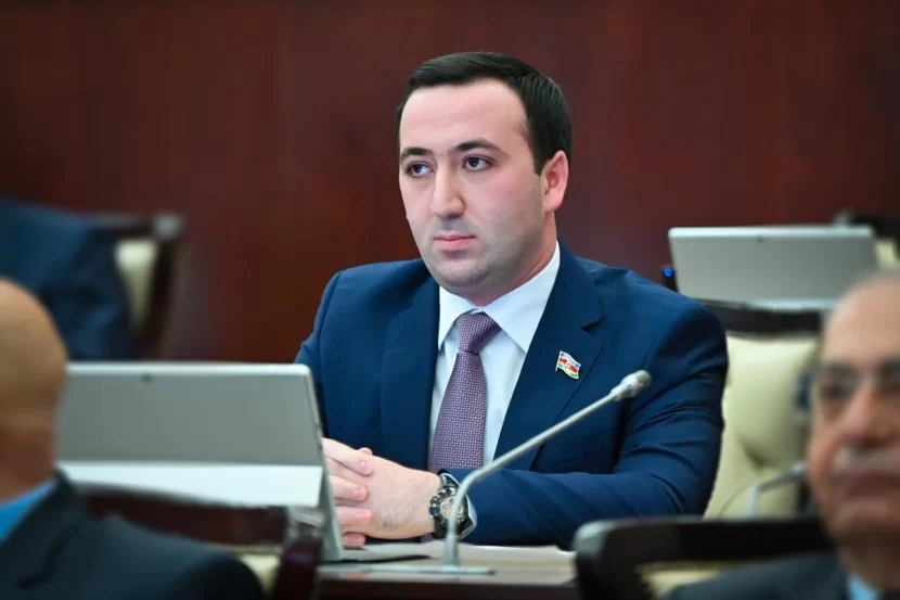 Mahir Süleymanlı parlamentdə statistikanı açıqladı