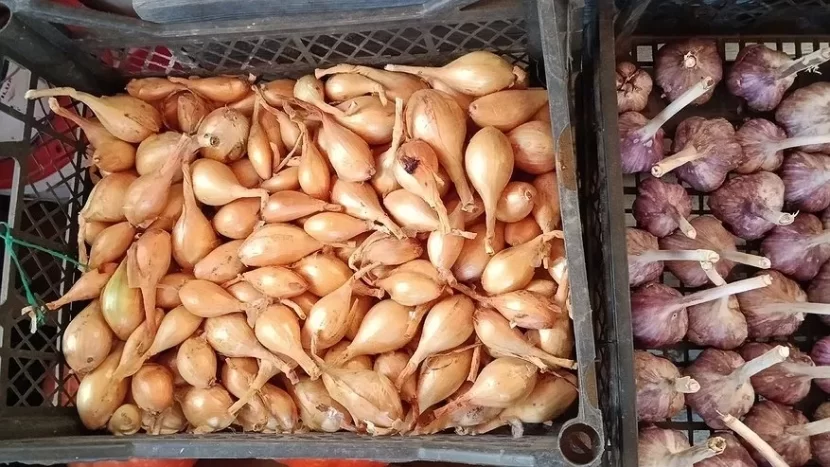 Bir kiloqram soğanı hamama aparın: Elə bir effekt yaradacaq ki...