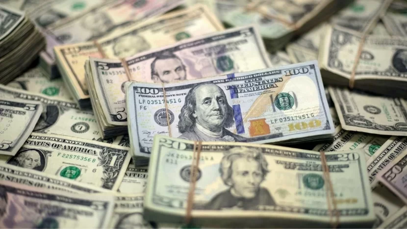 Cibindəki son 10 dollarla 100 min dollar qazandı