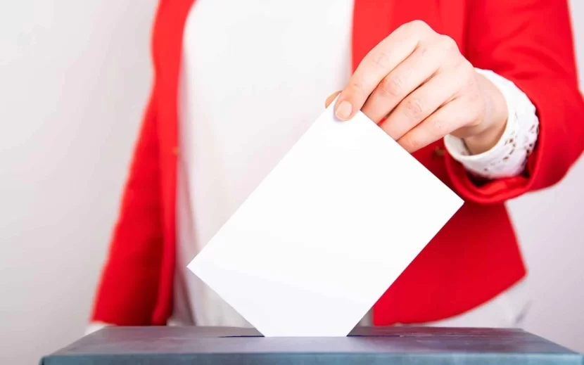 \"Prezident seçkisi baş tutub\" - Gürcüstan MSK