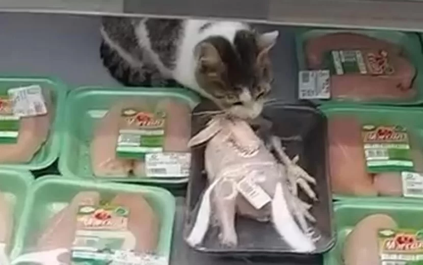 Bravo marketdə ŞOK GÖRÜNTÜ