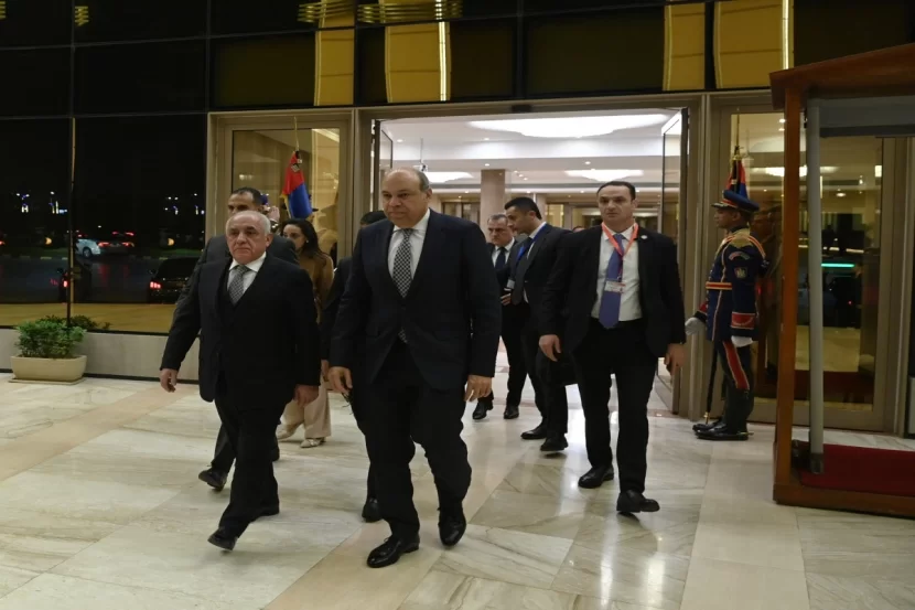 Əli Əsədov Misirə səfərə gedib