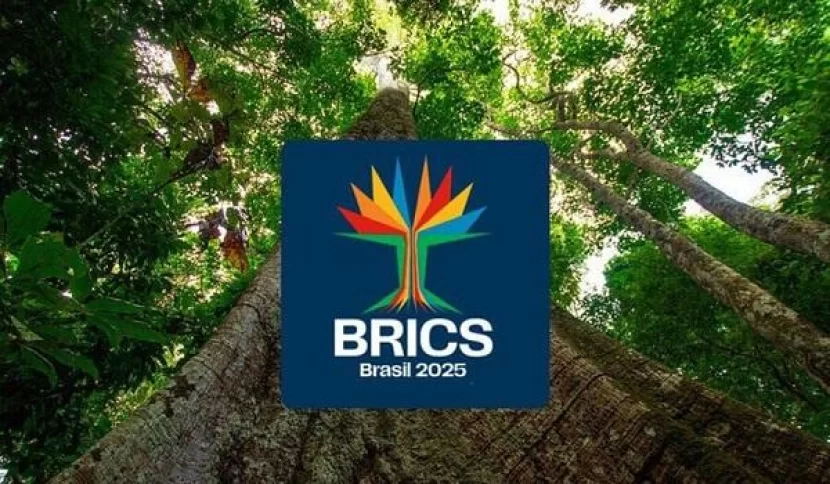 BRİKS-in yeni loqosu bel olacaq 