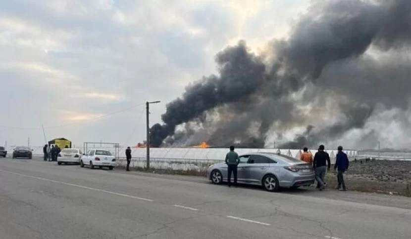 İmişlidə istixanada yanğın: ölü və yaralı var - Foto