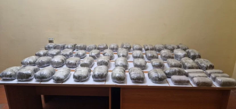 Külli miqdarda narkotik vasitənin ölkə ərazisinə keçirilməsinin QARŞISI ALINDI
