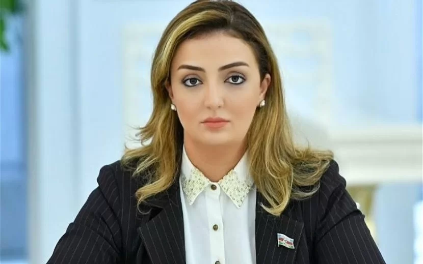Xanım deputata ağır itki