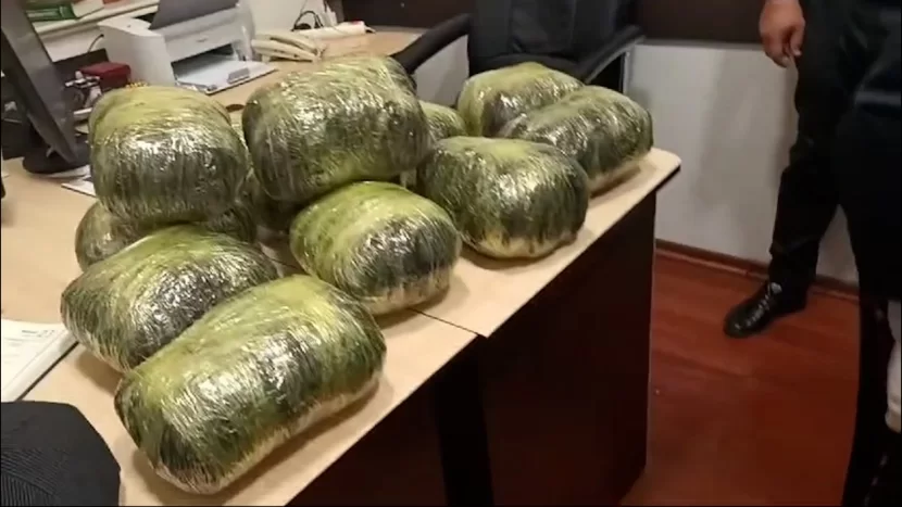 Sumqayıtda 14 kq heroin və marixuananın dövriyyəyə buraxılmasının qarşısı alındı - VİDEO