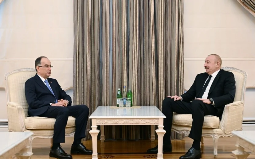 Azərbaycan və Albaniya prezidentlərinin görüşü olub