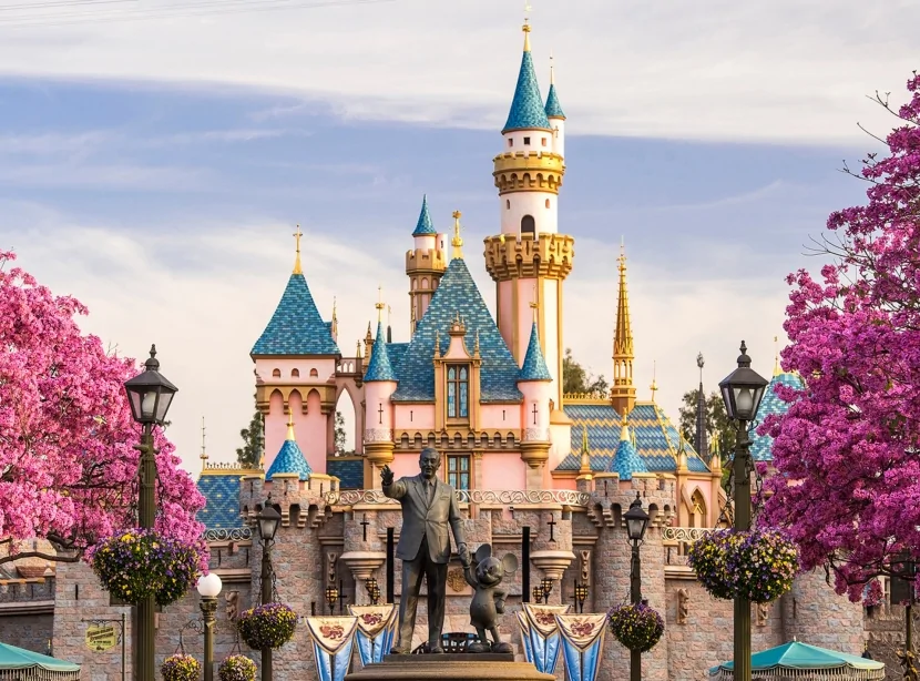 Disneyland YANIR - VİDEO