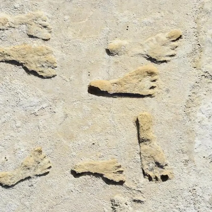 Alimlərdən şok KƏŞF - Yenidən YARATDILAR