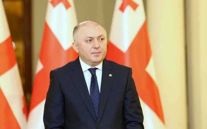 Gürcüstan DTX rəisi istefa verdi