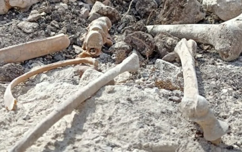 Ağdərədə insan sümükləri tapıldı