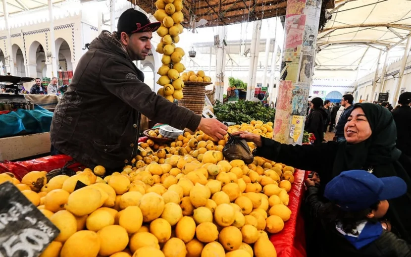 Türkiyə limon ixracını dayandırır