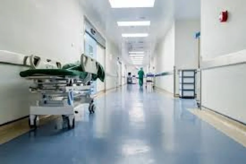 Bağçadan çıxan uşaqlara itlər hücum etdi: 9 yaralı