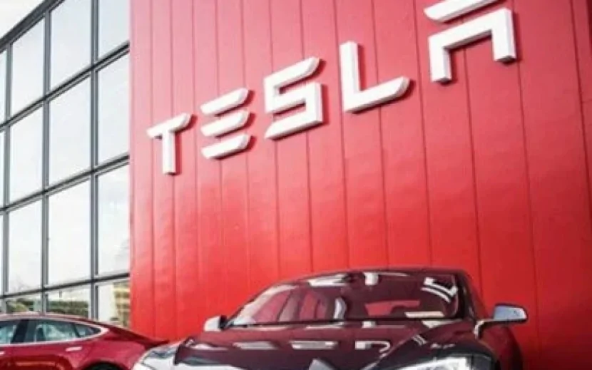 \"Tesla\" insanları belə aldadırmış