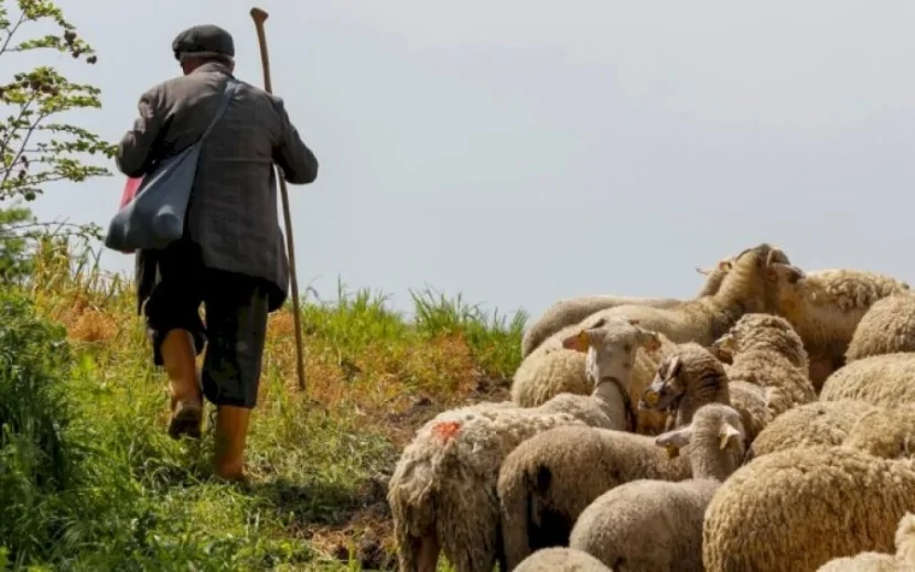 Dağda çobanın meyiti tapıldı
