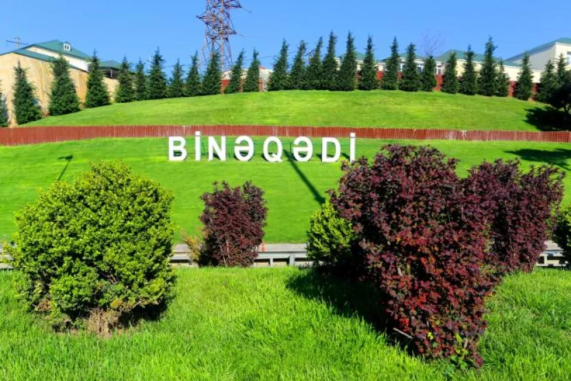 Binəqədidə silah tapıldı