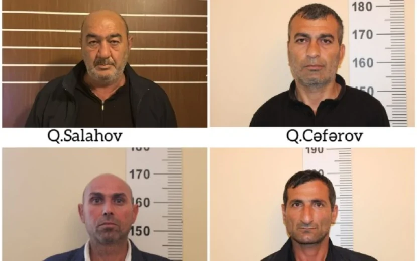 Narkotik tərkibli bitkilər yetişdirənlər tutuldu - FOTO