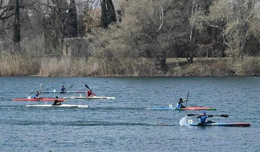 Avarçəkənlərimiz daha 5 medal qazandı