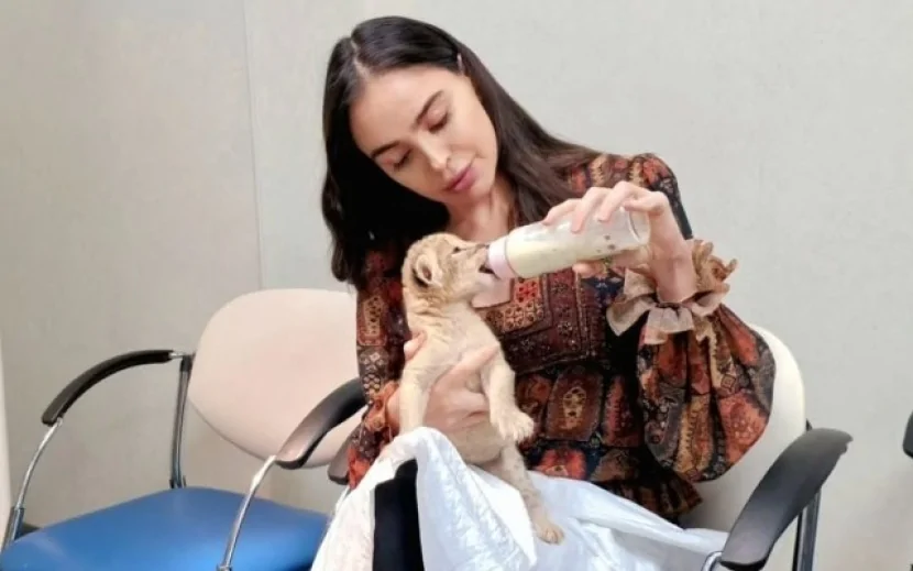 Leyla Əliyevanın şir balası ilə maraqlı GÖRÜNTÜSÜ