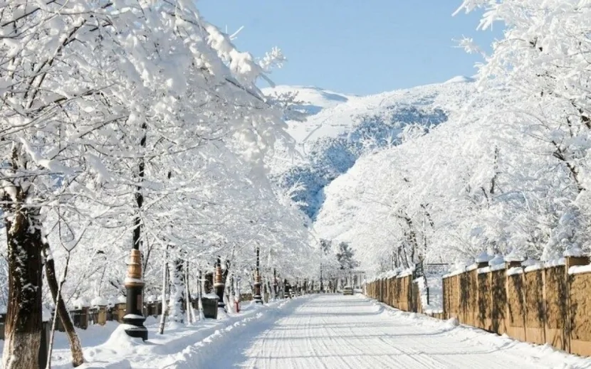 Yunanıstanda qar uçqunu 4 can aldı