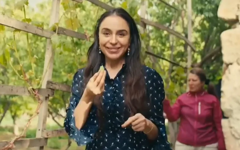 Leyla Əliyeva Ordubadda - VİDEO