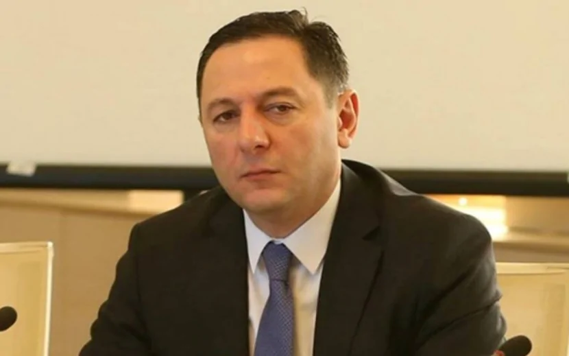 Gürcüstanın daxili işlər naziri istefa verdi