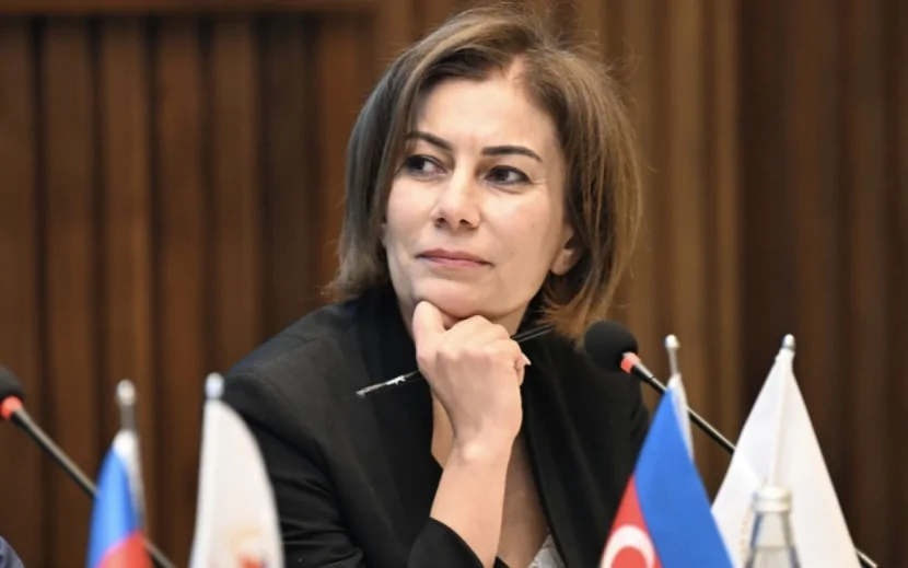 İlahə Qədimova baş katib seçildi