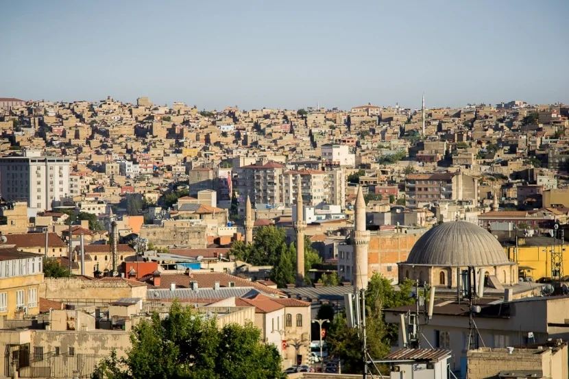 Türkiyədə güclü meşə yanğını