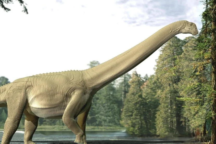 Dinozavrlara dair ilk birbaşa sübut tapıldı
