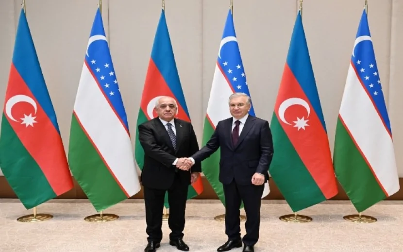 Əli Əsədov Özbəkistan Prezidenti ilə görüşdü