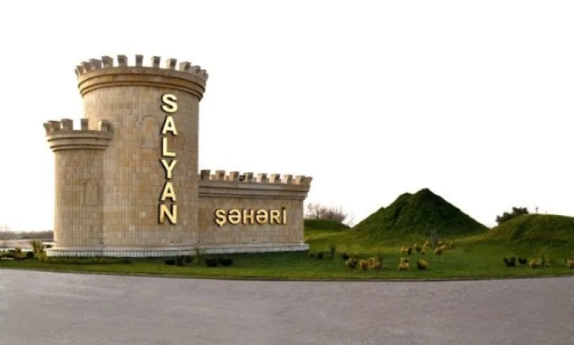 Salyanda ferma yandı: 40 baş heyvan tələf oldu