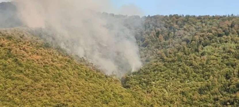 Çanaqqalada meşə YANIR