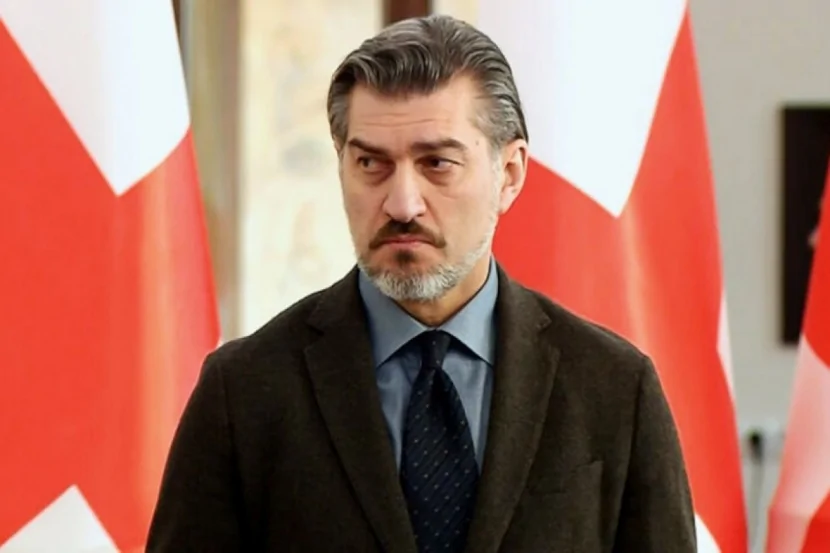 Gürcüstan Prezidenti Türkiyəyə gedir