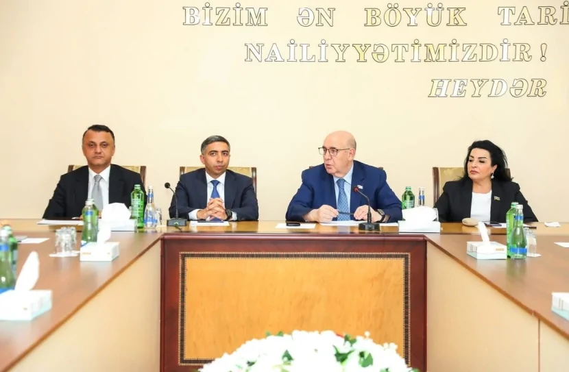 Bərdə rayonunda Milli Məclisin Səhiyyə komitəsinin səyyar iclası keçirilib - FOTOLAR