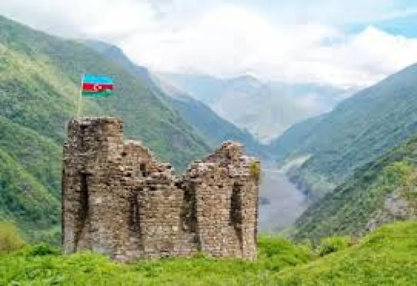 Bu portalda icazələrin verilməsi müvəqqəti dayandırılıb