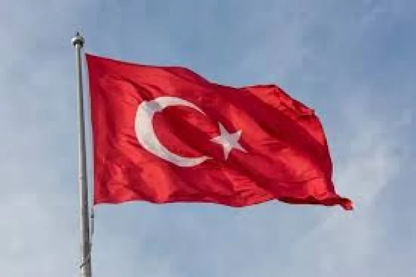 Türkiyədə bütün heyvan bazarları bağlanıb
