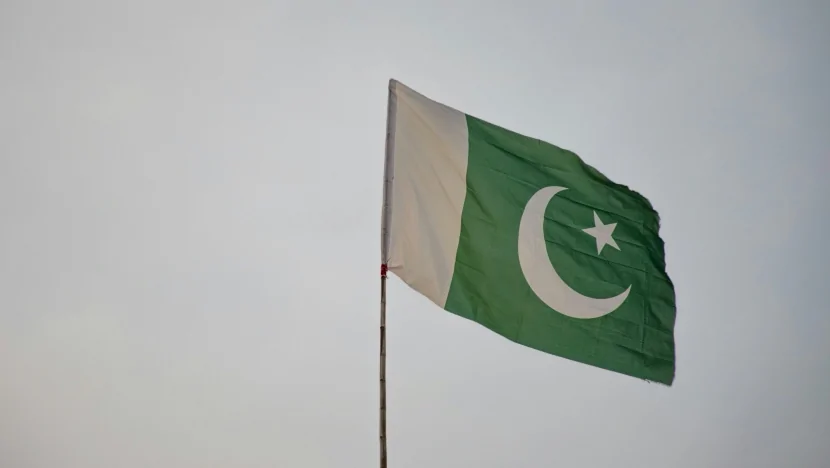 Pakistan 30-dan çox silahlını məhv edib