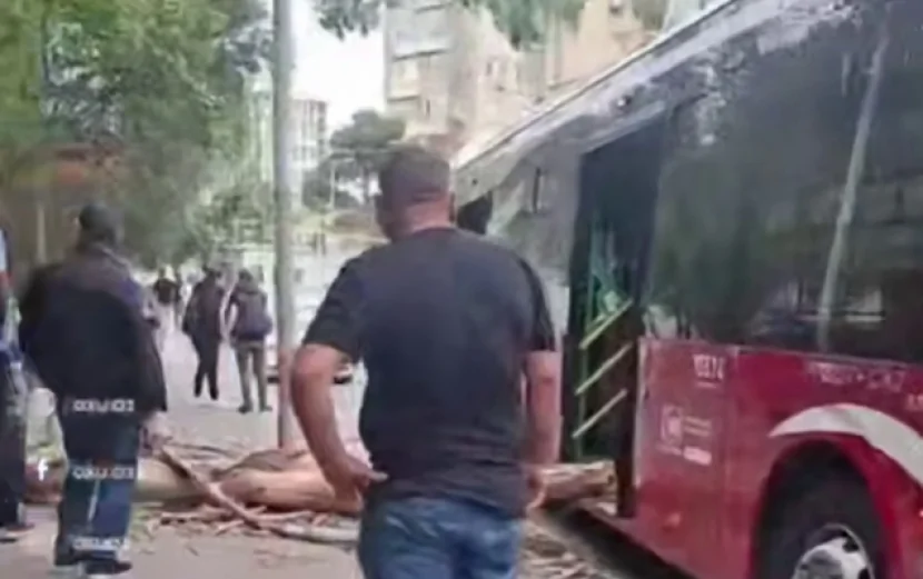 Bakıda külək ağacı avtobusun üzərinə aşırdı - Video
